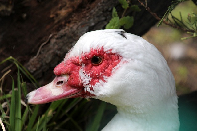 技術全面 技術全面