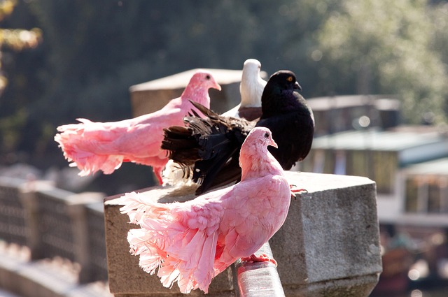 来冰雪事业 来冰雪事业