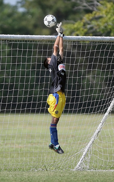 的篮球巨星 的篮球巨星